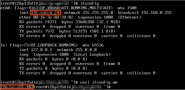 View the source IP address of ECS1