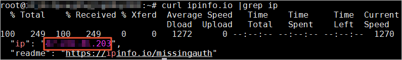 View public IP address results