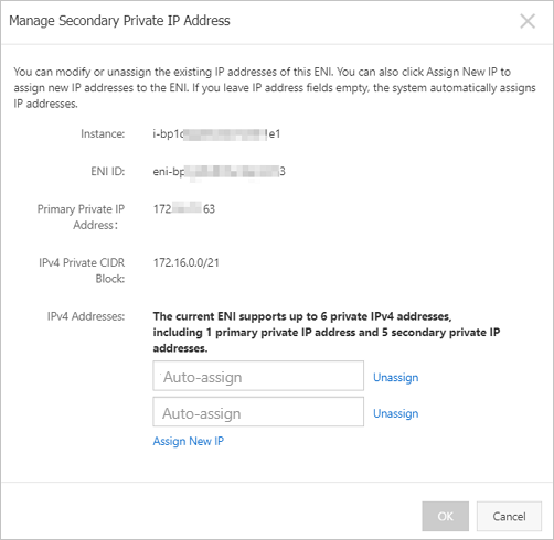 Enter secondary private IP addresses