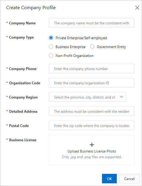 Company information