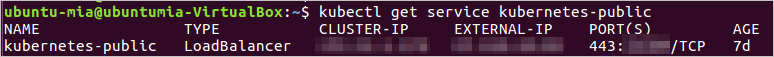Query the public IP address of the public-facing SLB instance