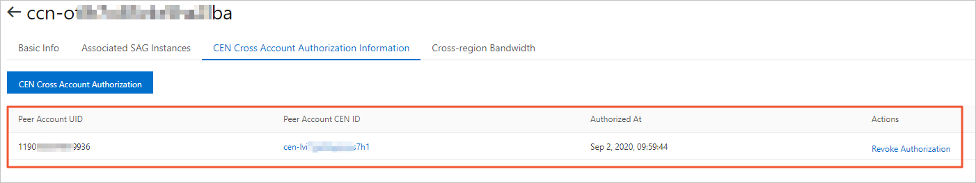 CCN instance authorization