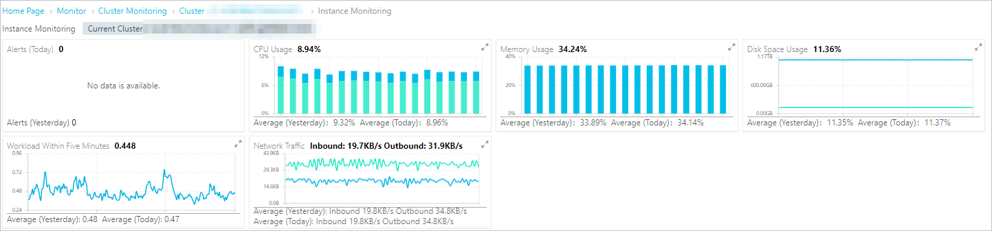 Instance details