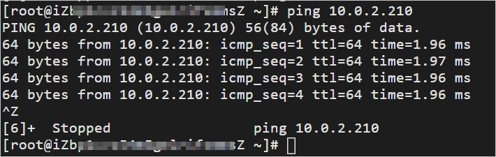 SAG vCPE-ping