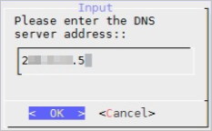 配置DNS