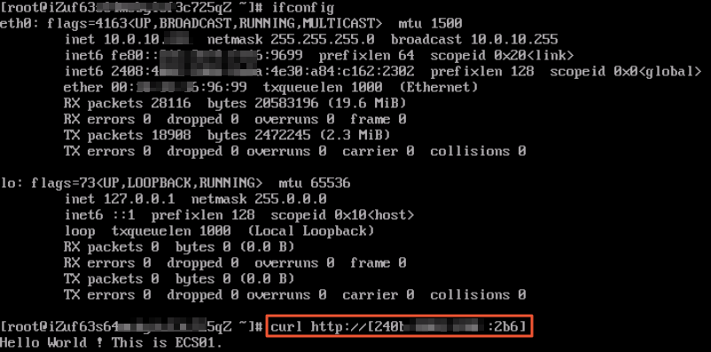 访问IPv4服务