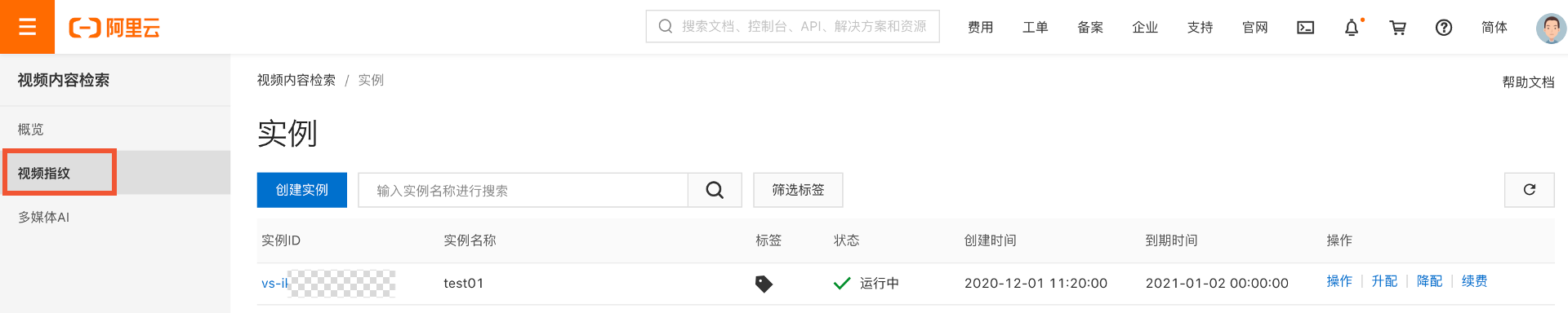 查看实例